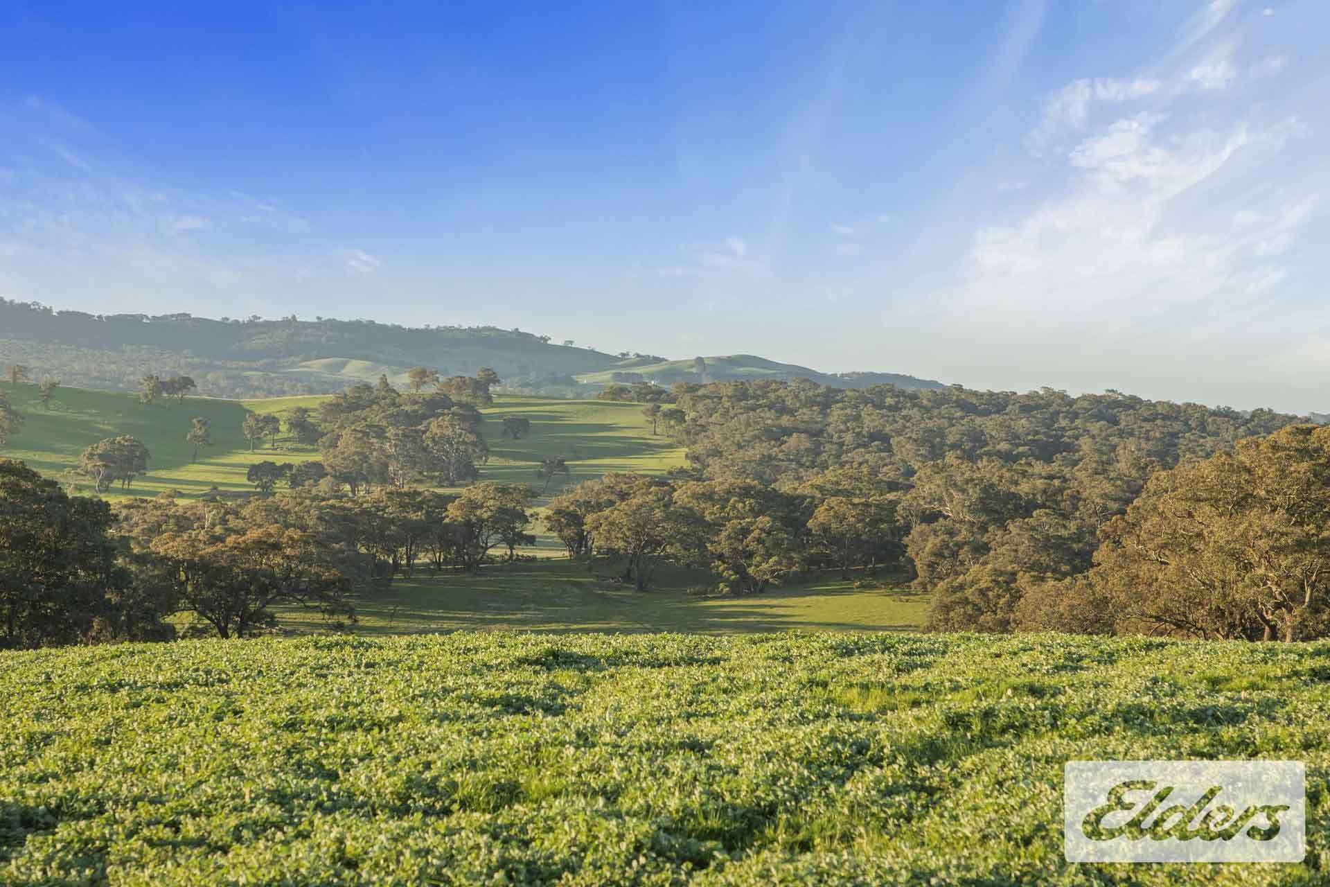 927 Racecourse Road, Langi Kal Kal For Sale by Farmbuy.com - image 25