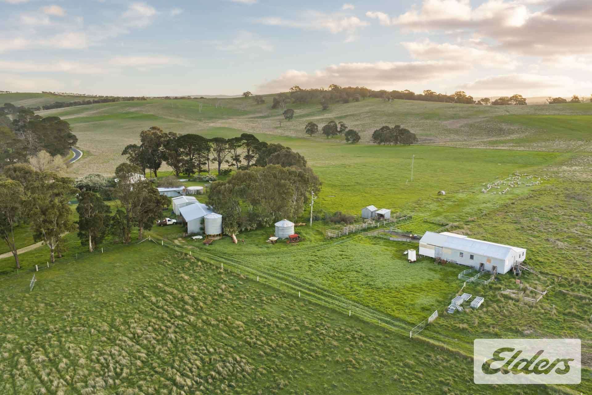 927 Racecourse Road, Langi Kal Kal For Sale by Farmbuy.com - image 33