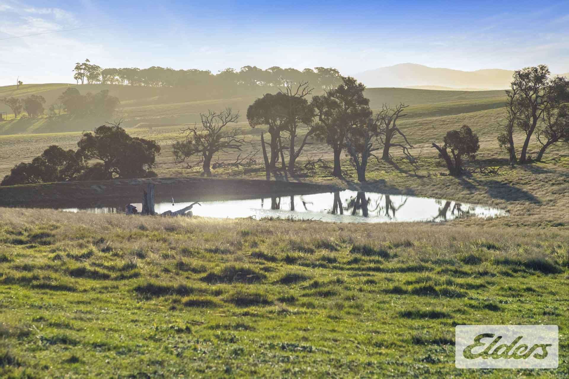 927 Racecourse Road, Langi Kal Kal For Sale by Farmbuy.com - image 26