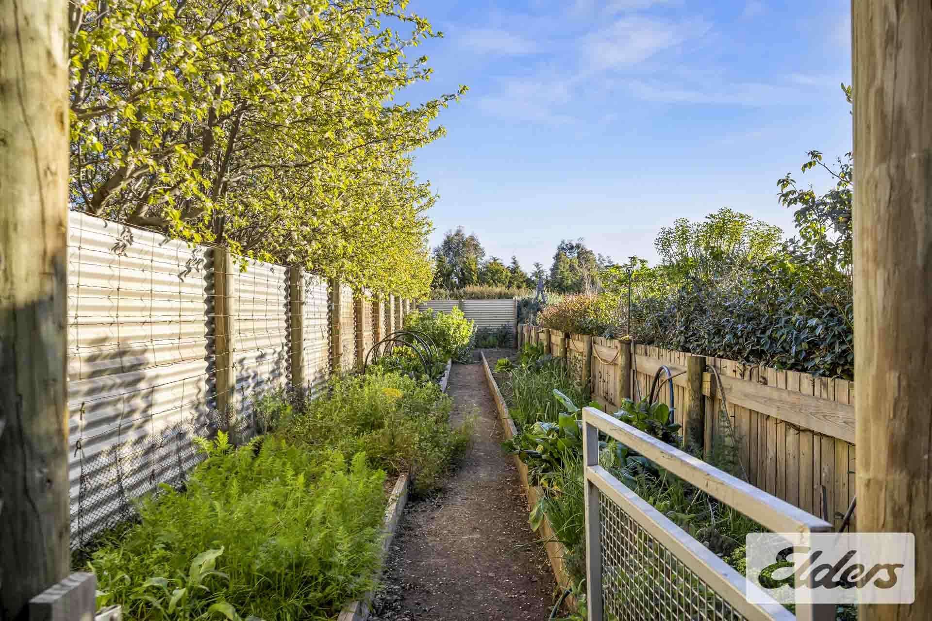 927 Racecourse Road, Langi Kal Kal For Sale by Farmbuy.com - image 22
