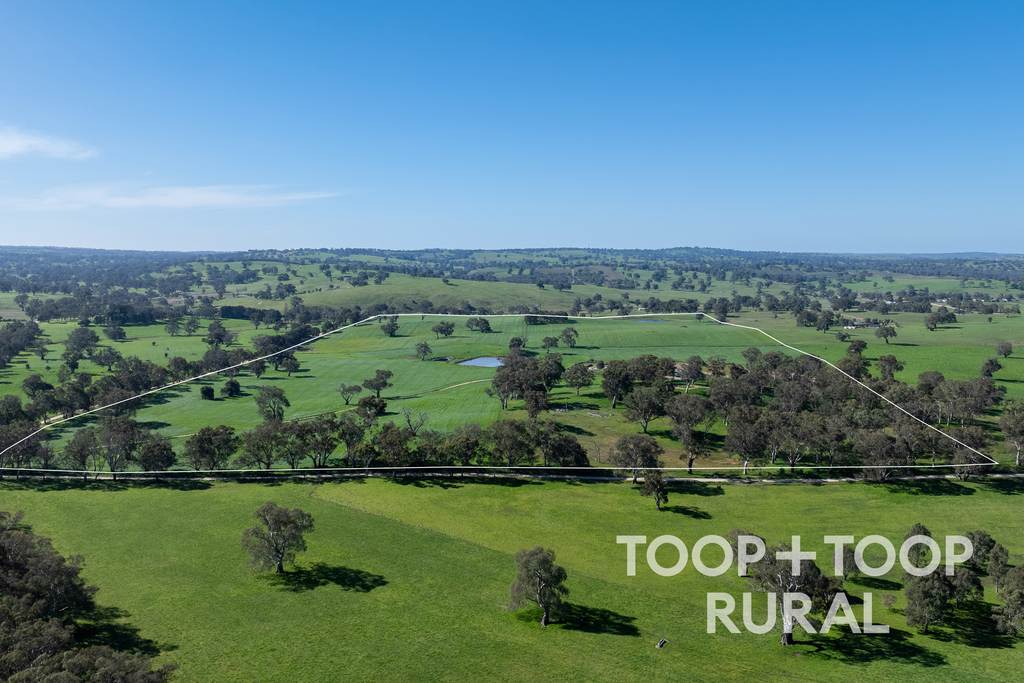 Lot 1 Cemetery Road, Eden Valley SA 5235