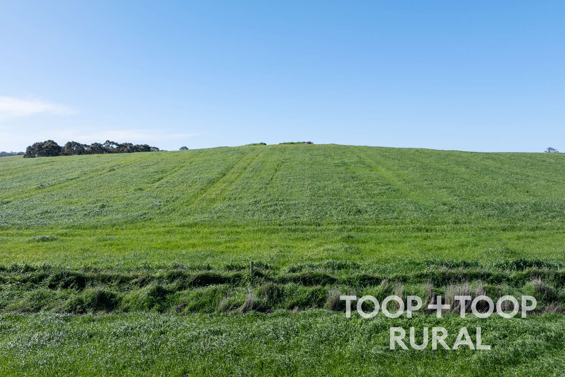 Lot 1 Cemetery Road, Eden Valley For Sale by Farmbuy.com - image 5