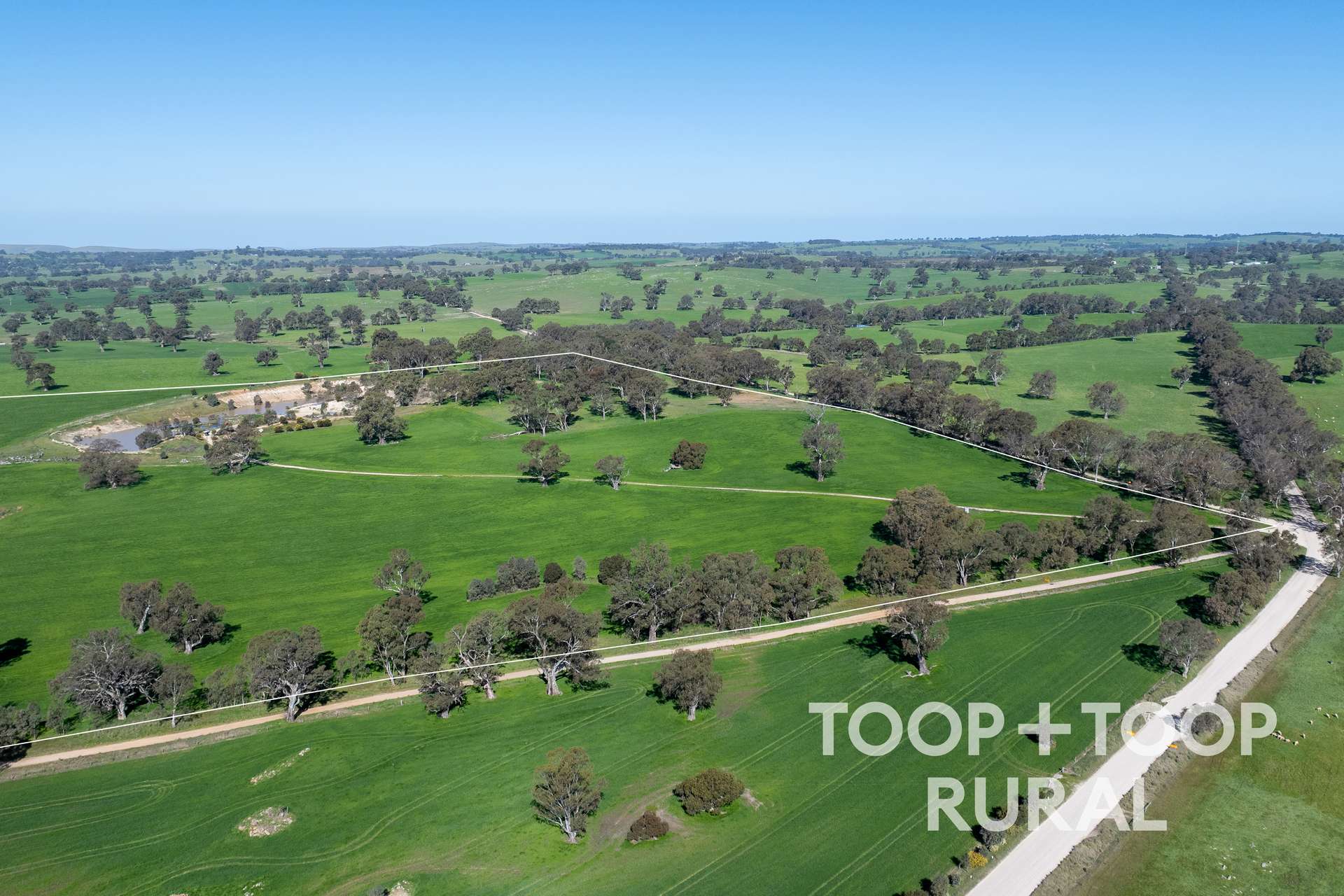 Lot 1 Cemetery Road, Eden Valley For Sale by Farmbuy.com - image 10