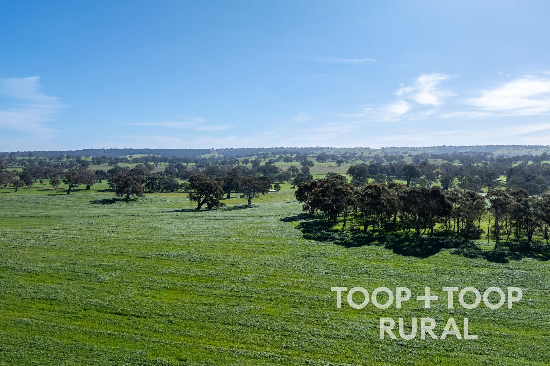 Lot 1 Cemetery Road, Eden Valley For Sale by Farmbuy.com - image 3