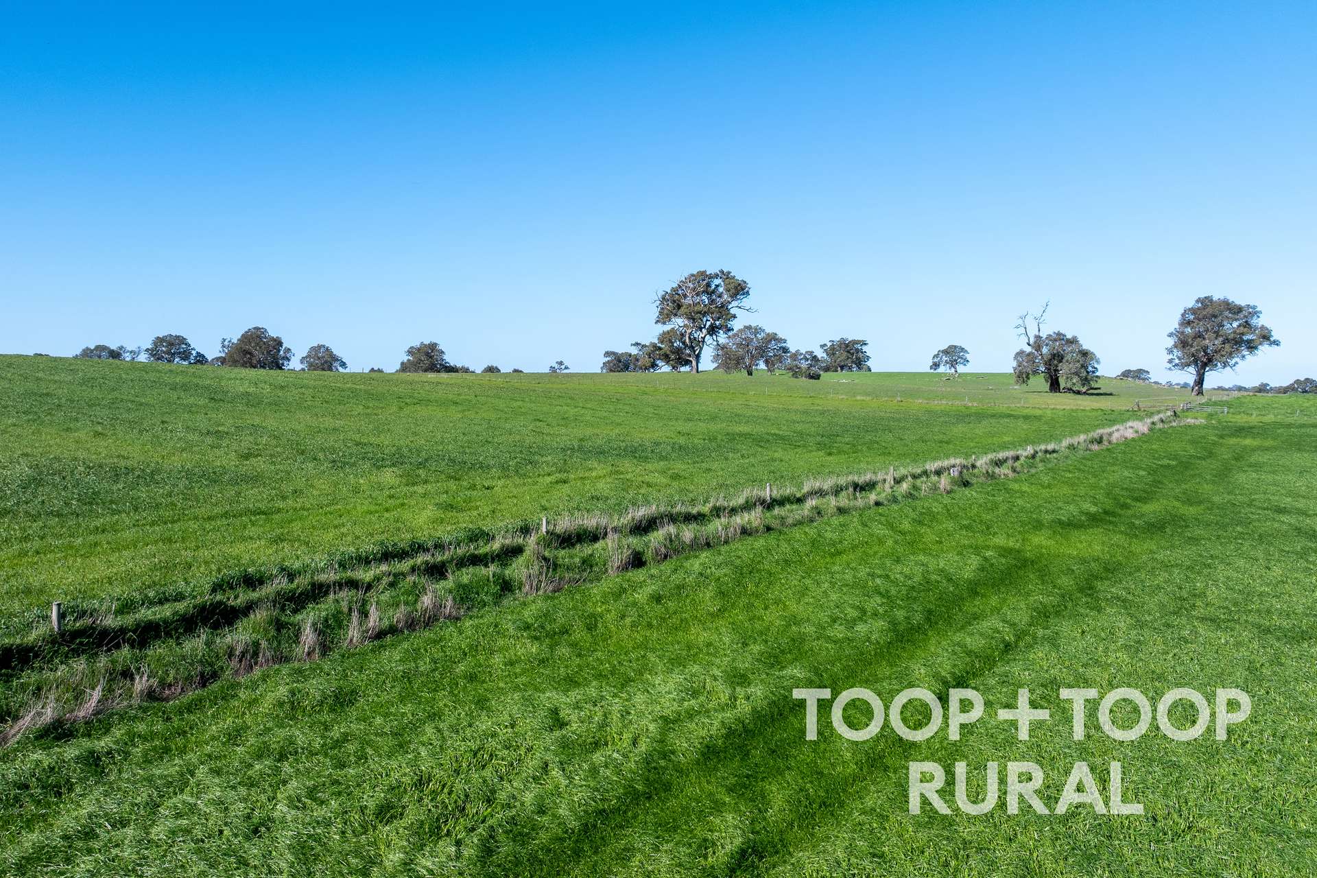 Lot 1 Cemetery Road, Eden Valley For Sale by Farmbuy.com - image 6