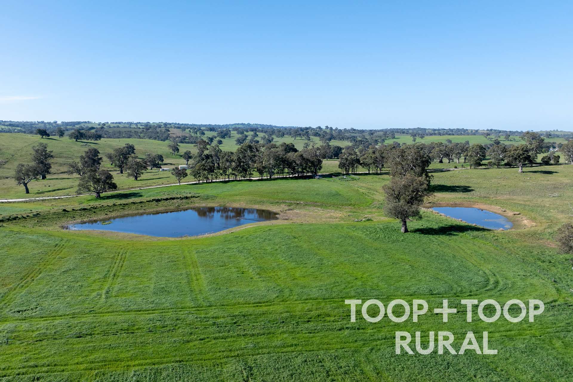 Lot 1 Cemetery Road, Eden Valley For Sale by Farmbuy.com - image 2