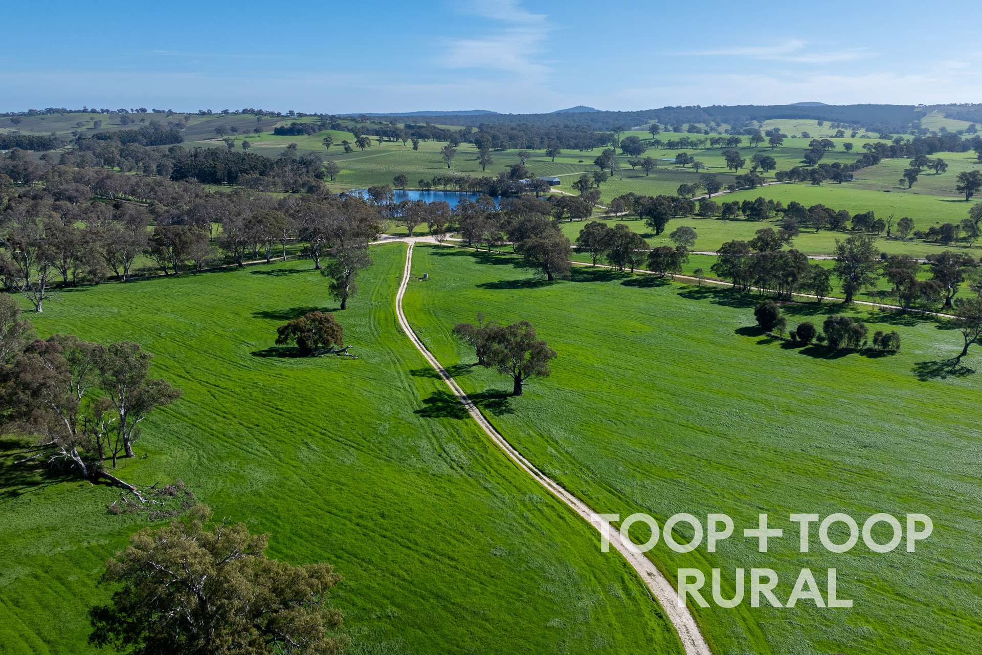 Lot 1 Cemetery Road, Eden Valley For Sale by Farmbuy.com - image 13