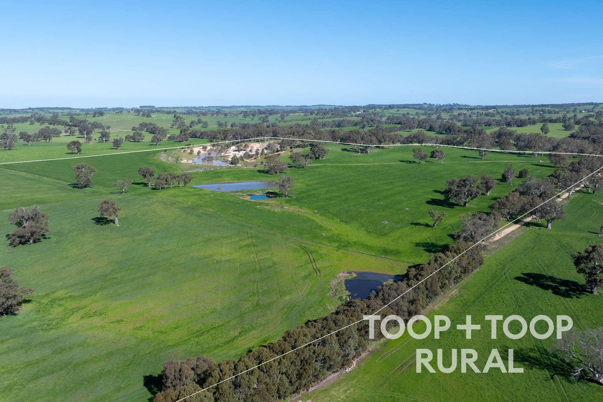 Lot 1 Cemetery Road, Eden Valley For Sale by Farmbuy.com - image 11