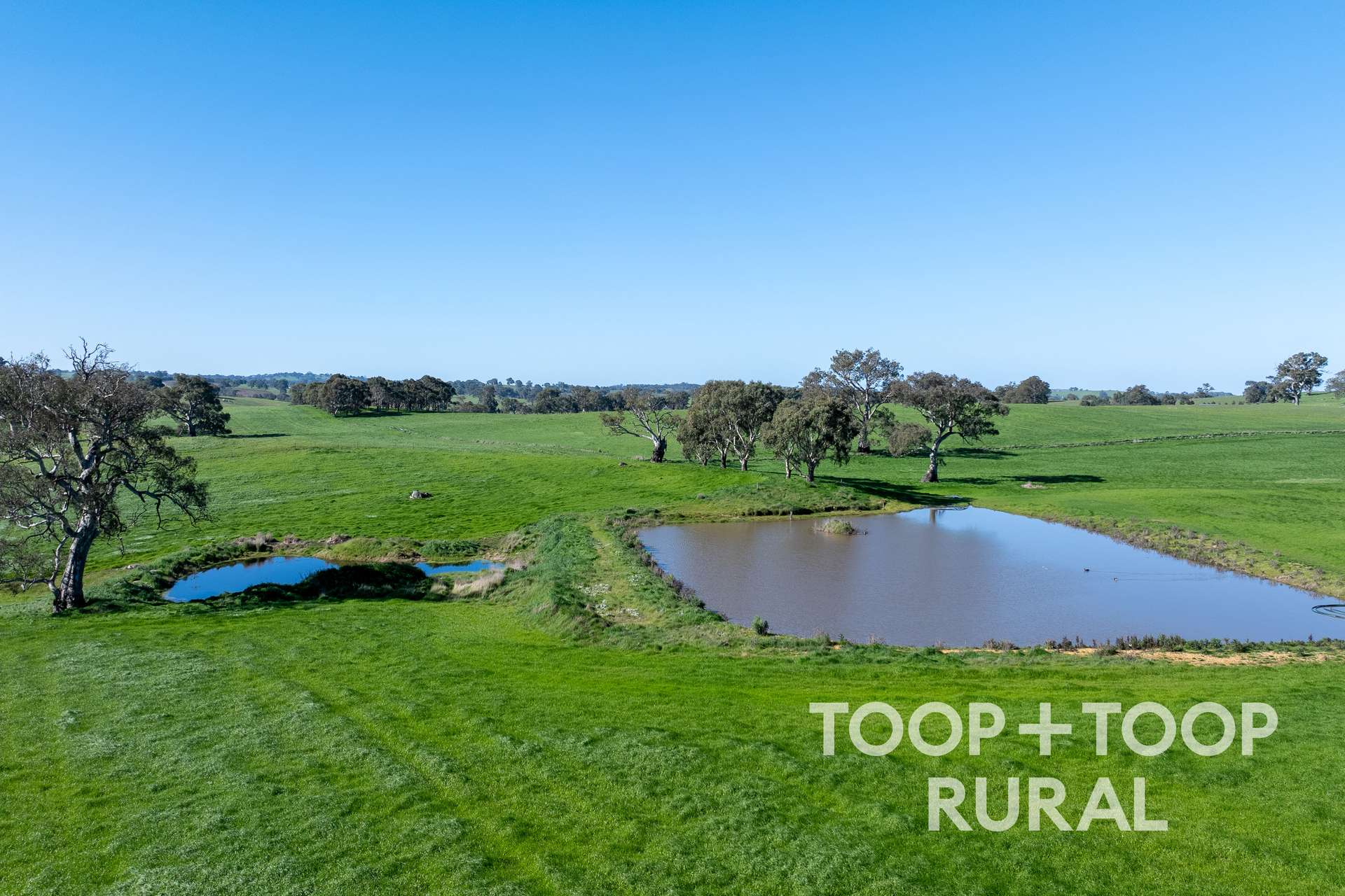 Lot 1 Cemetery Road, Eden Valley For Sale by Farmbuy.com - image 7