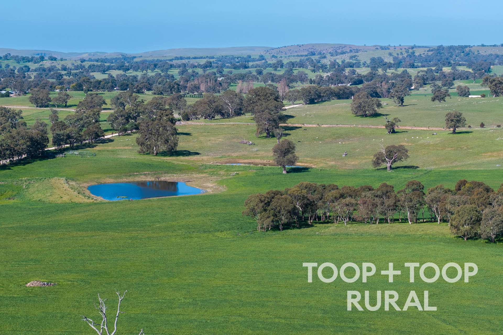 Lot 1 Cemetery Road, Eden Valley For Sale by Farmbuy.com - image 9