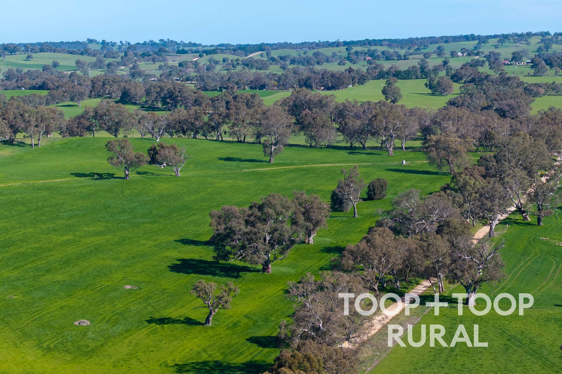 Lot 1 Cemetery Road, Eden Valley For Sale by Farmbuy.com - image 8