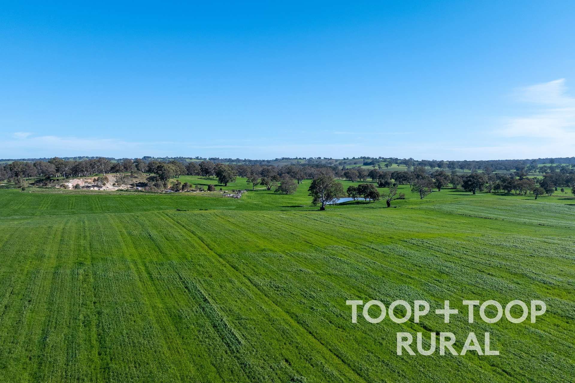 Lot 1 Cemetery Road, Eden Valley For Sale by Farmbuy.com - image 4