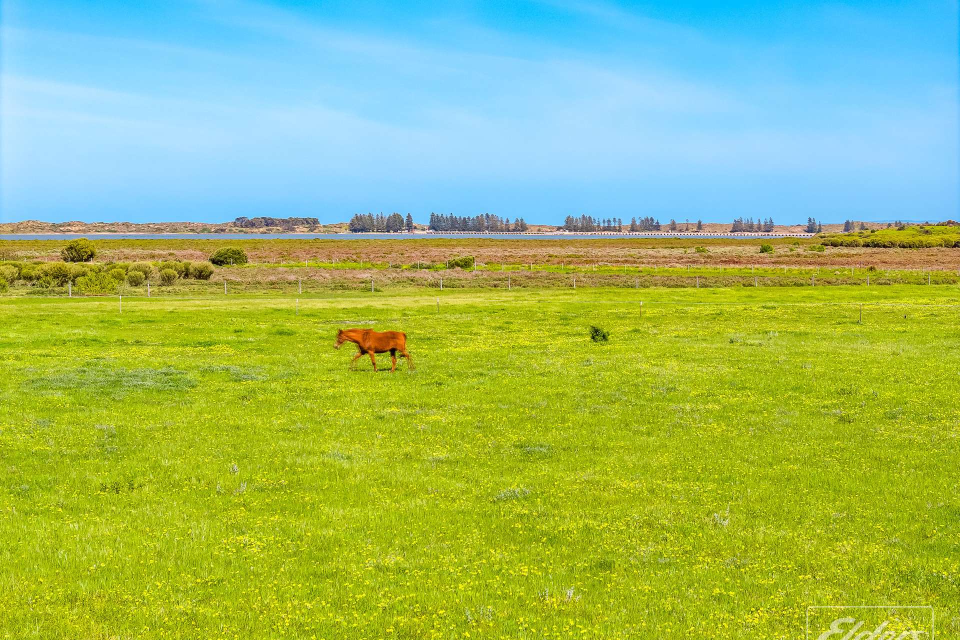 155 Monument Road, Hindmarsh Island For Sale by Farmbuy.com - image 11