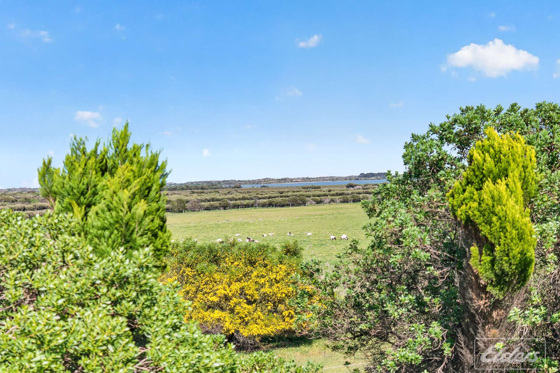 155 Monument Road, Hindmarsh Island For Sale by Farmbuy.com - image 4