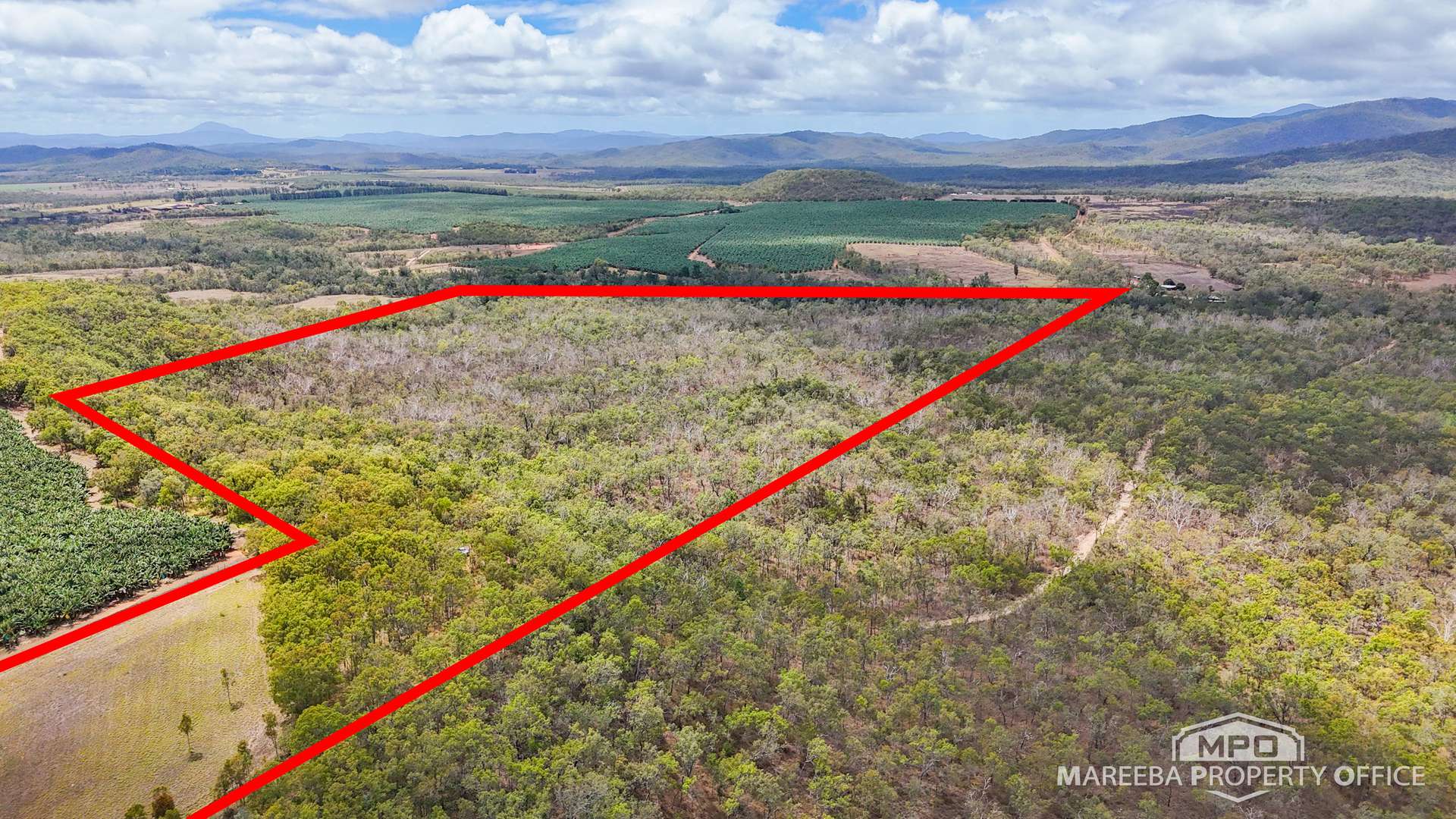 Lot 101, Lot 101 Emerald Falls Road, Mareeba For Sale by Farmbuy.com - image 4