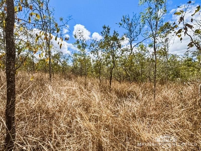 Lot 101, Lot 101 Emerald Falls Road, Mareeba For Sale by Farmbuy.com - image 10