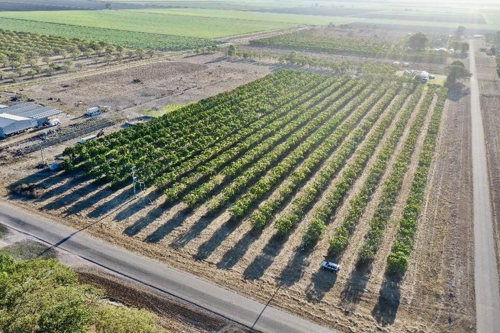 184 Bartlett Road, Horseshoe Lagoon QLD 4809