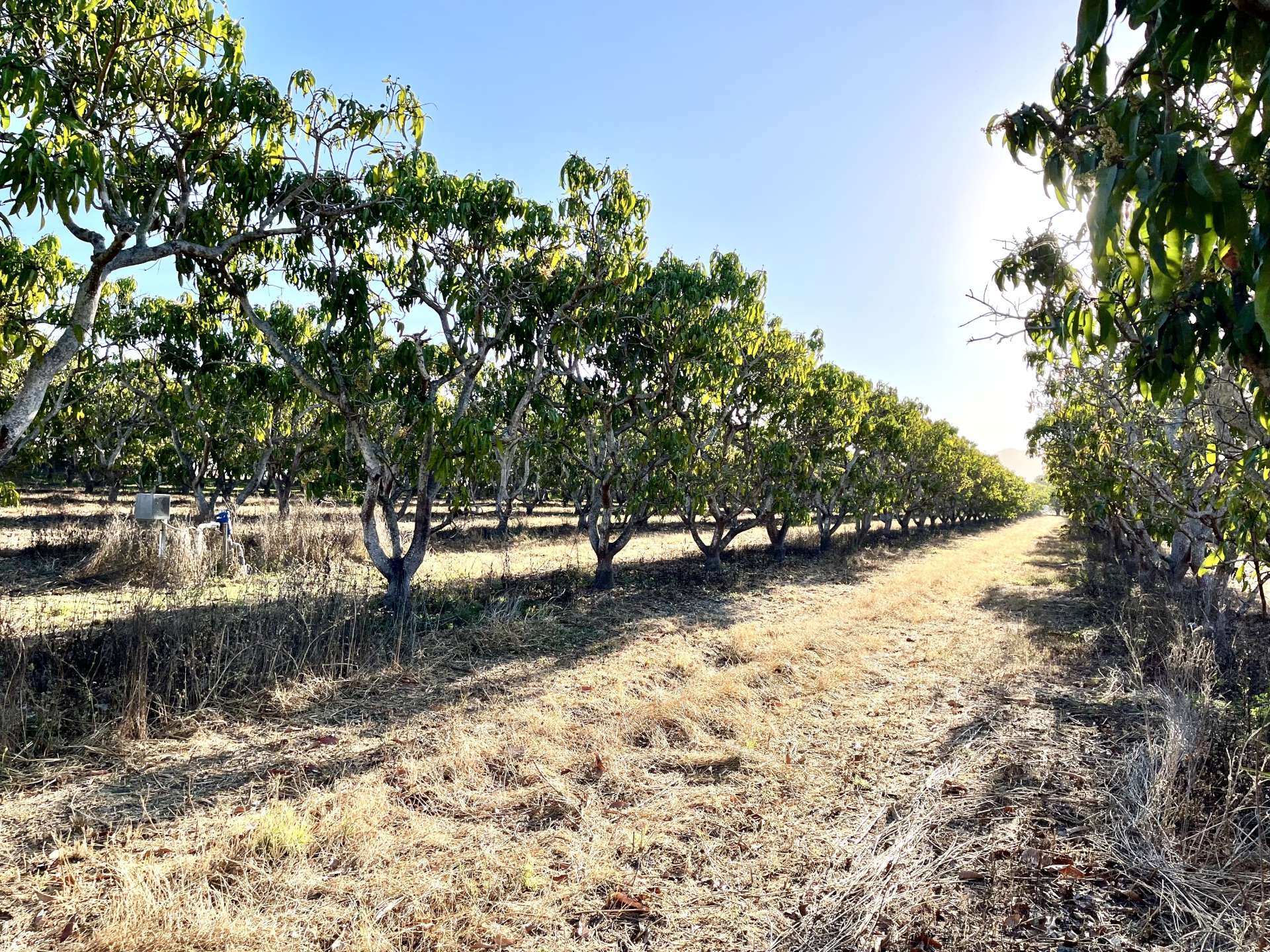 184 Bartlett  Road, Horseshoe Lagoon For Sale by Farmbuy.com - image 8