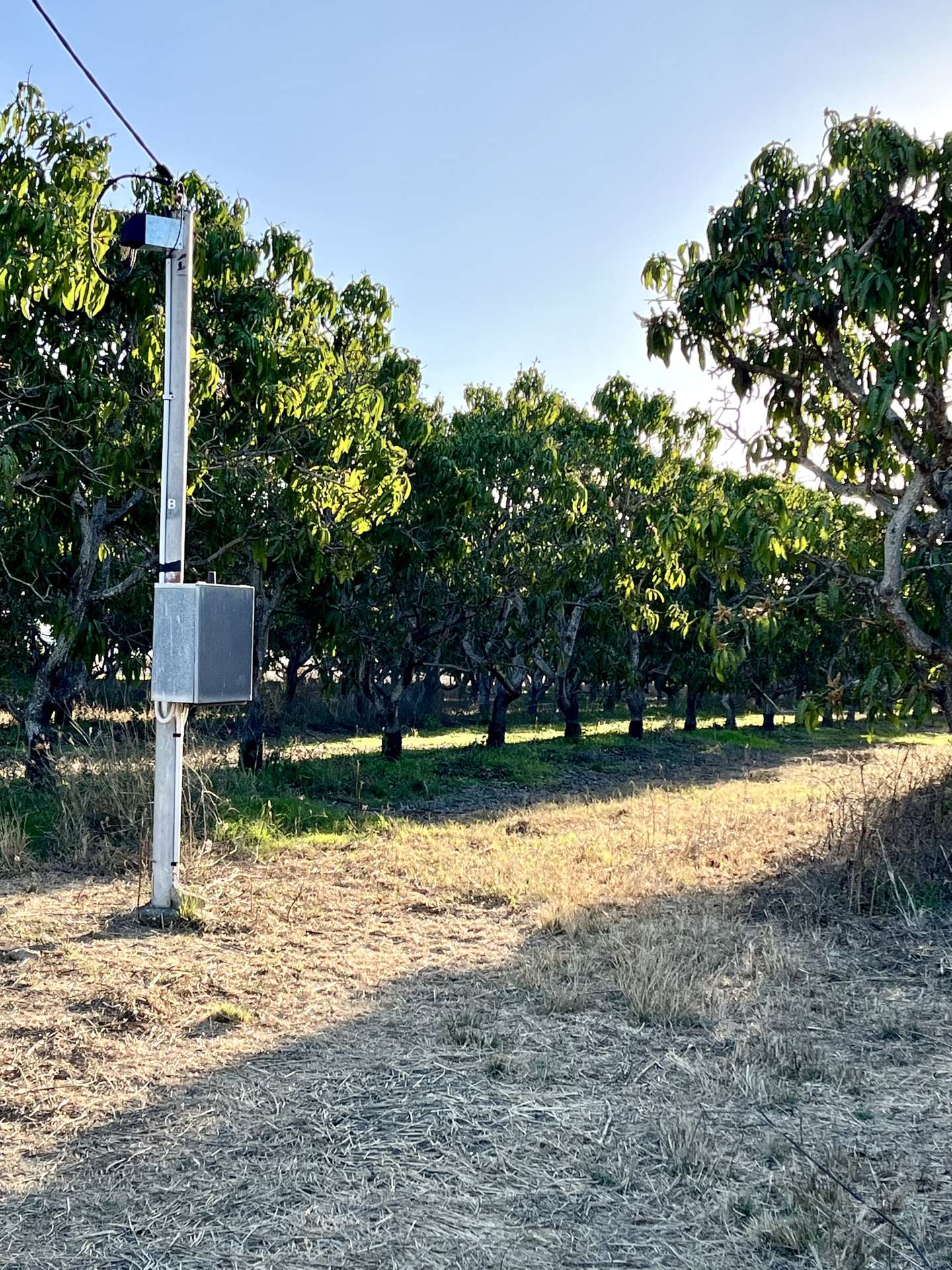 184 Bartlett  Road, Horseshoe Lagoon For Sale by Farmbuy.com - image 3