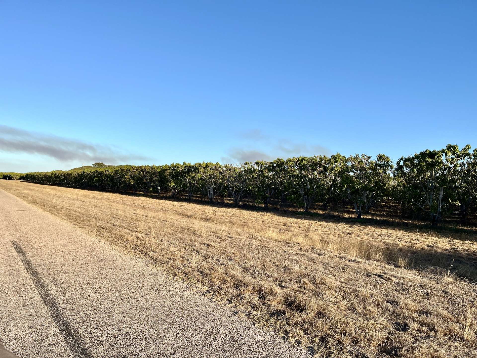 184 Bartlett  Road, Horseshoe Lagoon For Sale by Farmbuy.com - image 7