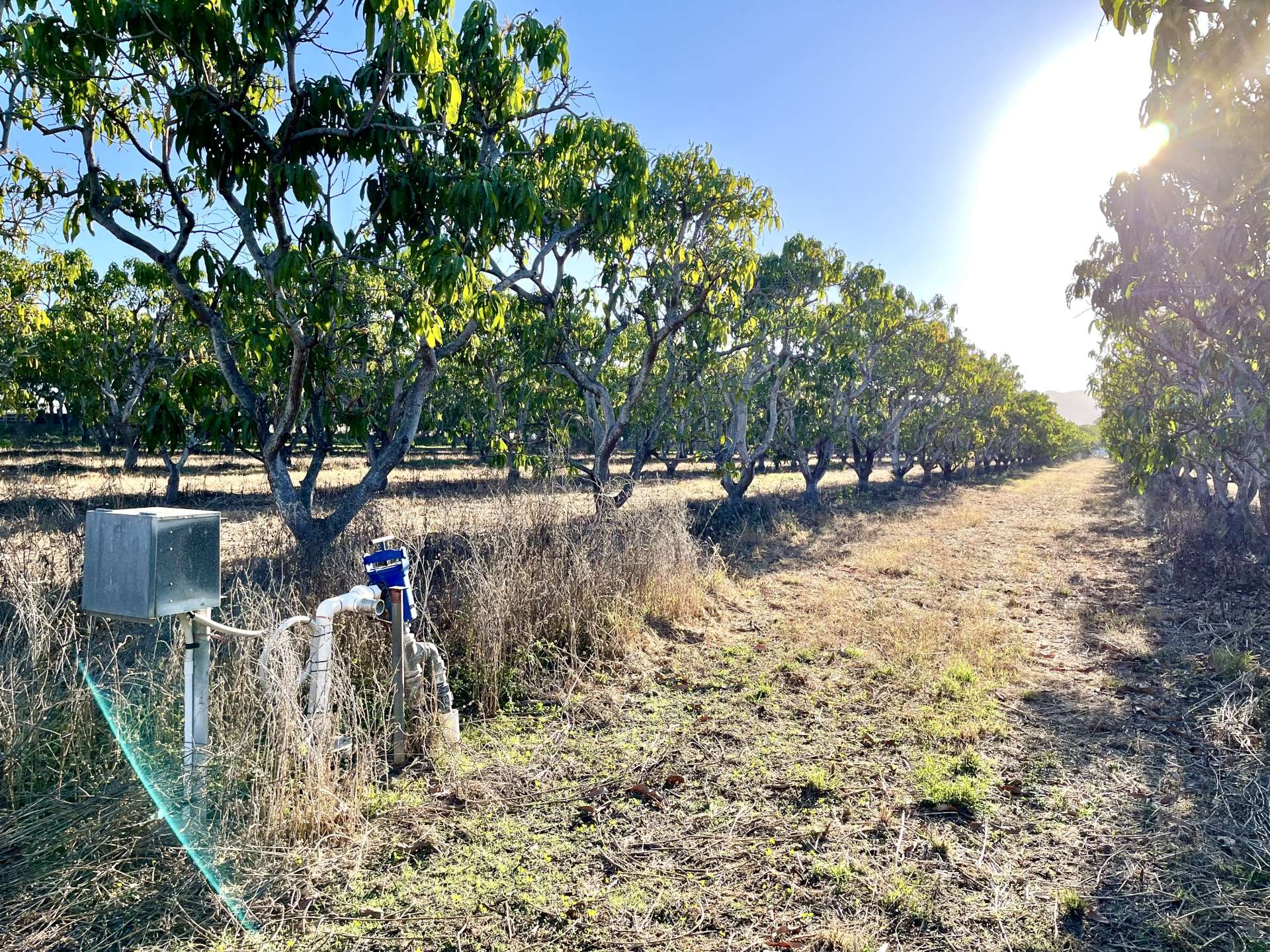 184 Bartlett  Road, Horseshoe Lagoon For Sale by Farmbuy.com - image 4