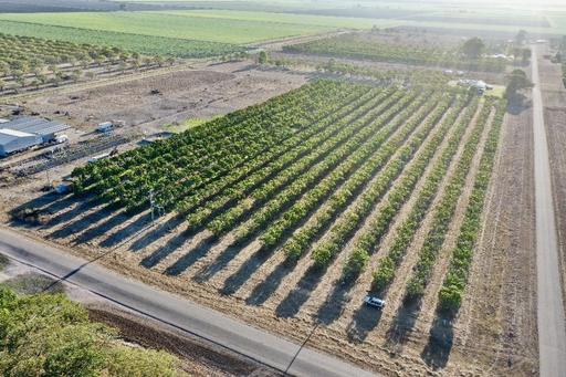184 Bartlett Road, Horseshoe Lagoon QLD 4809