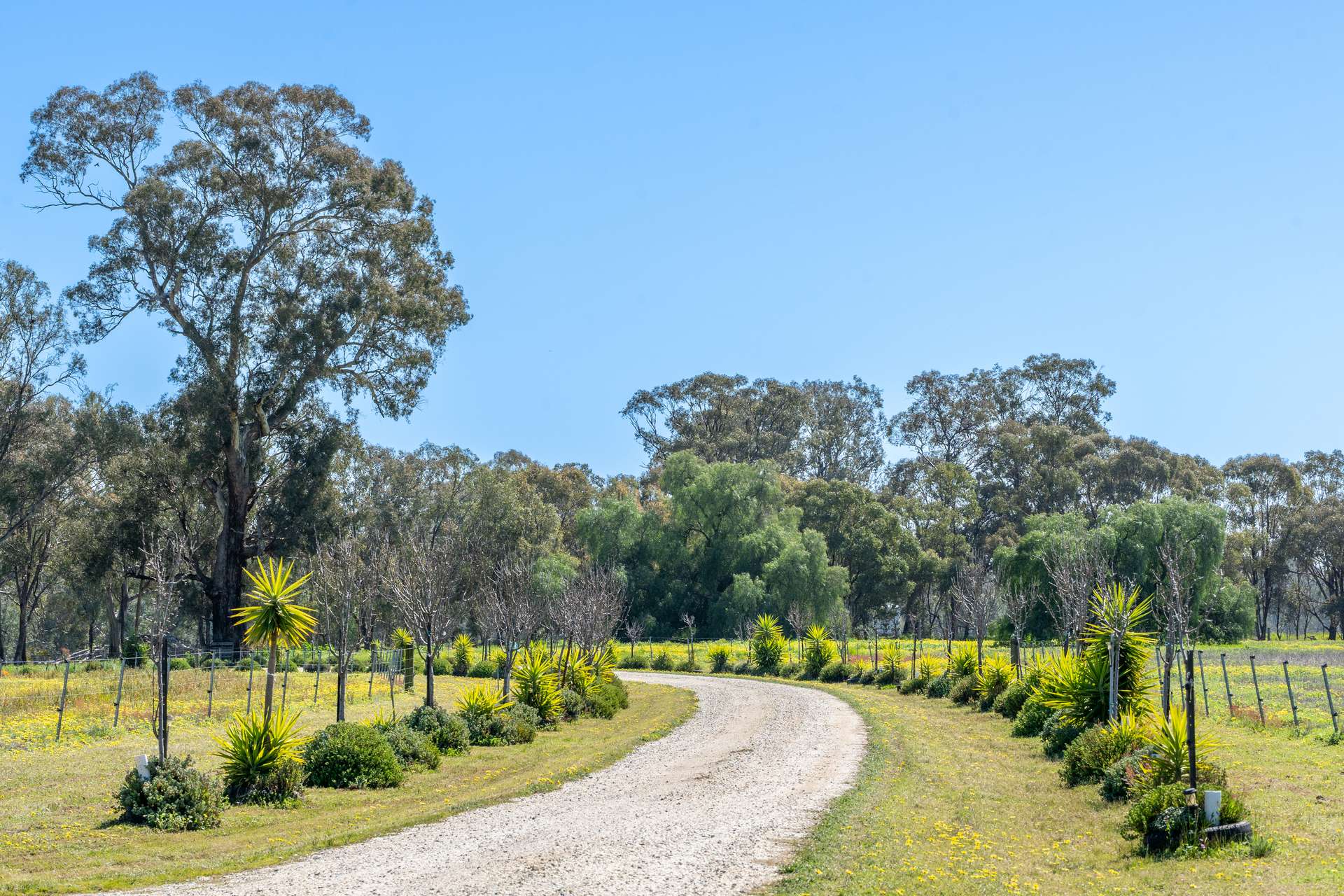 613 Old Euroa Road, Balmattum For Sale by Farmbuy.com - image 29