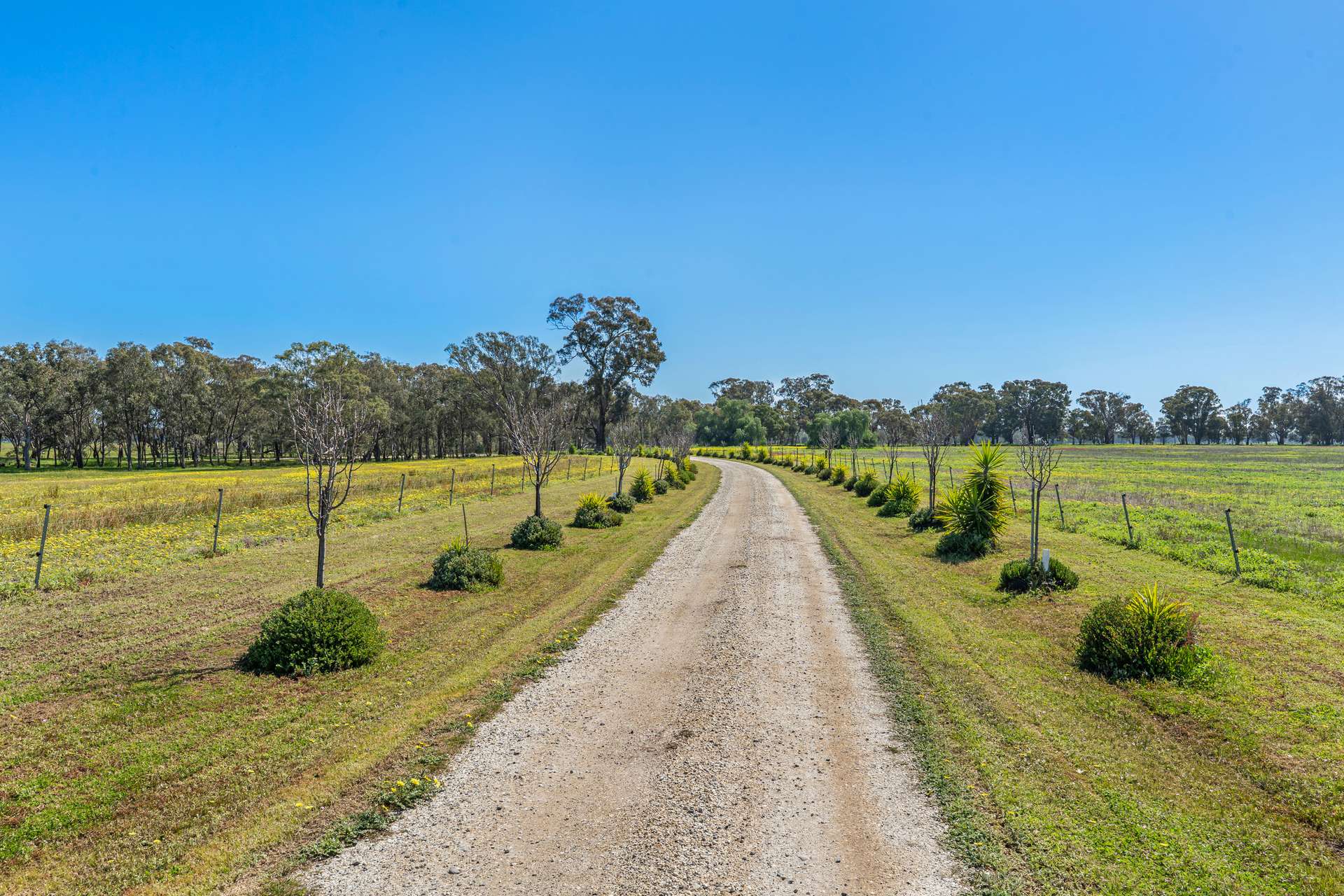 613 Old Euroa Road, Balmattum For Sale by Farmbuy.com - image 13