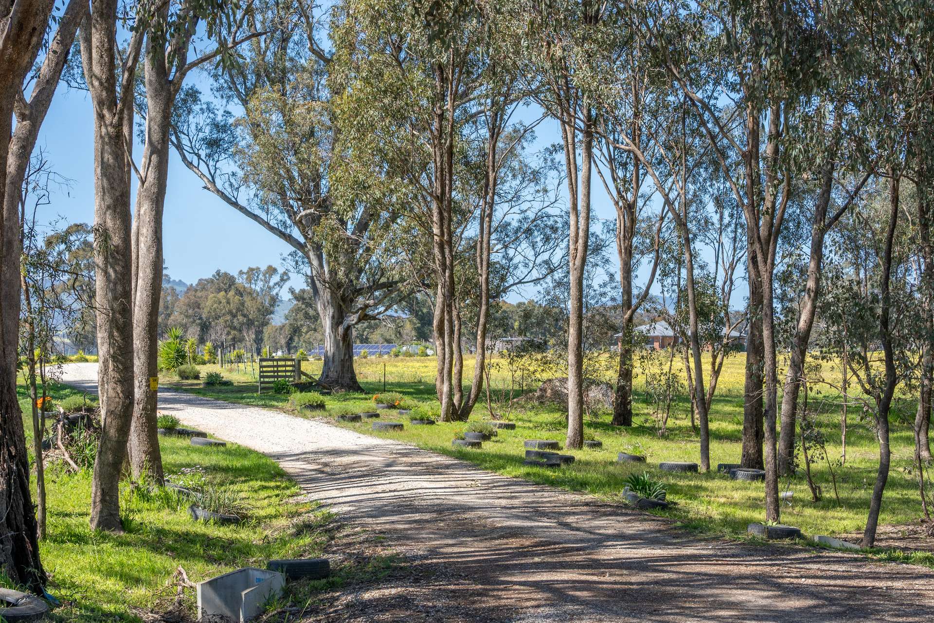 613 Old Euroa Road, Balmattum For Sale by Farmbuy.com - image 1