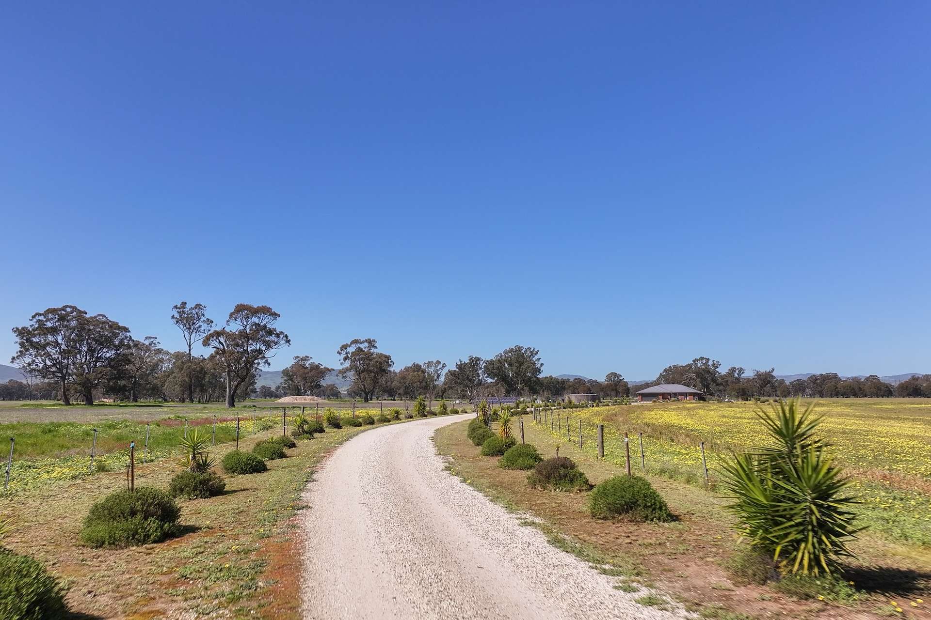 613 Old Euroa Road, Balmattum For Sale by Farmbuy.com - image 22