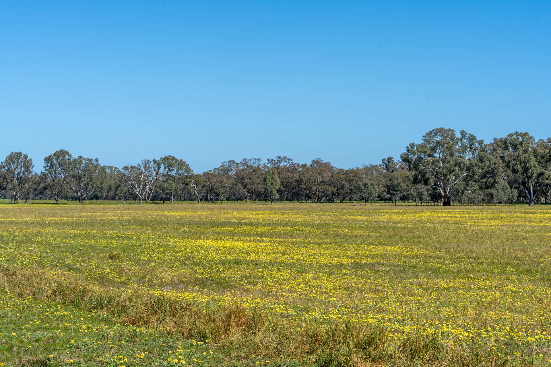 613 Old Euroa Road, Balmattum For Sale by Farmbuy.com - image 33