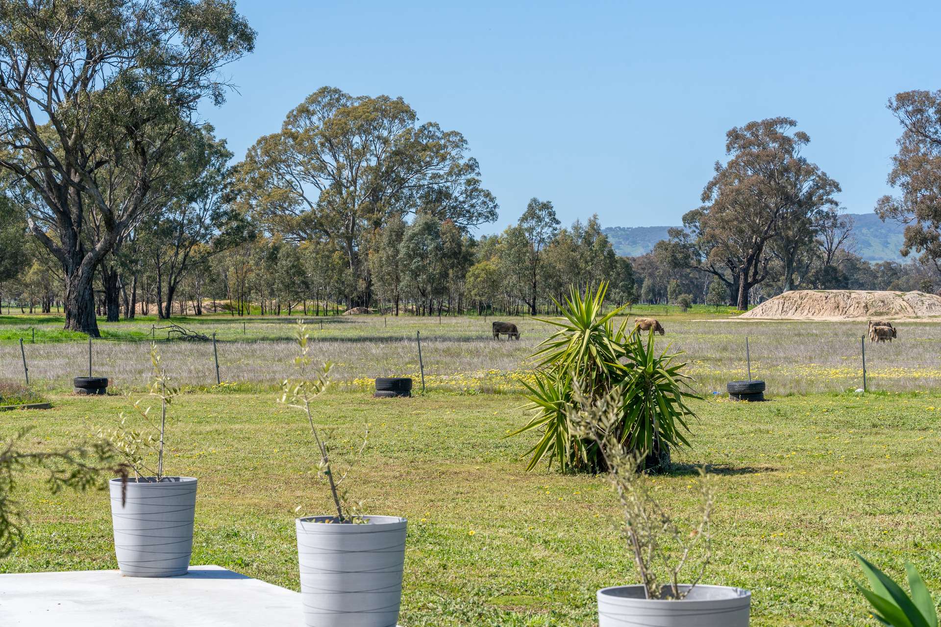 613 Old Euroa Road, Balmattum For Sale by Farmbuy.com - image 30