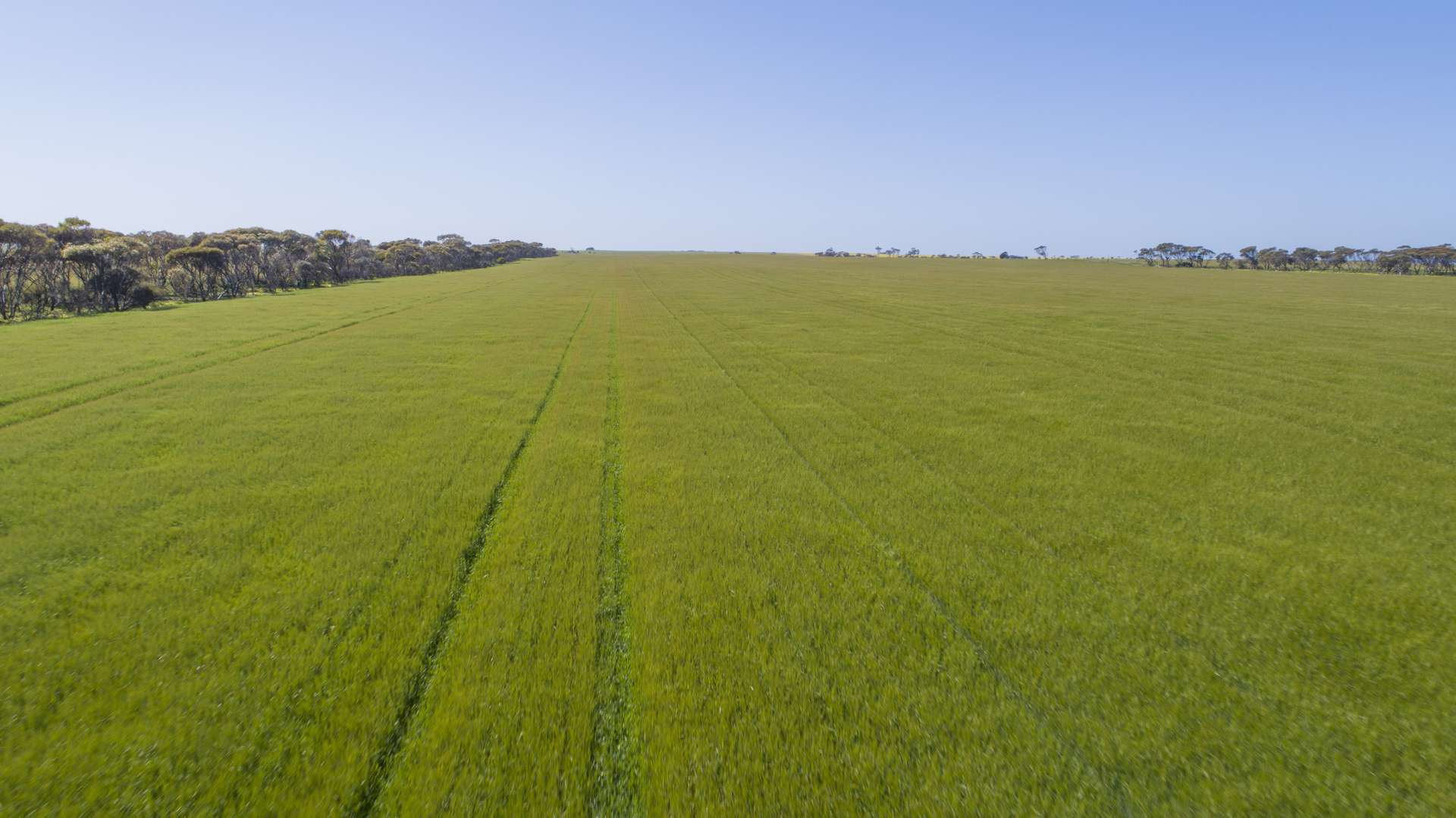 'Sims' Section 87N Rickaby Road, Minlaton For Sale by Farmbuy.com - image 2
