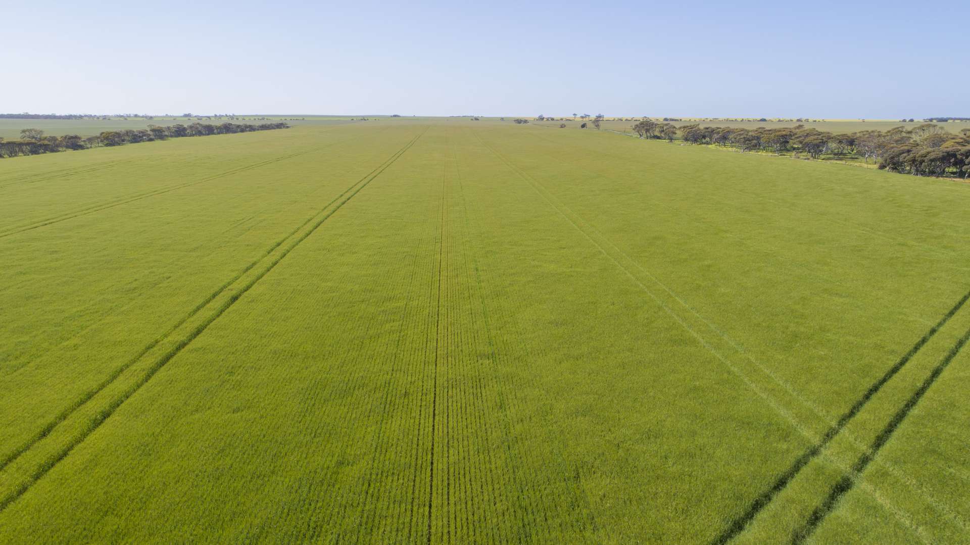 'Sims' Section 87N Rickaby Road, Minlaton For Sale by Farmbuy.com - image 3