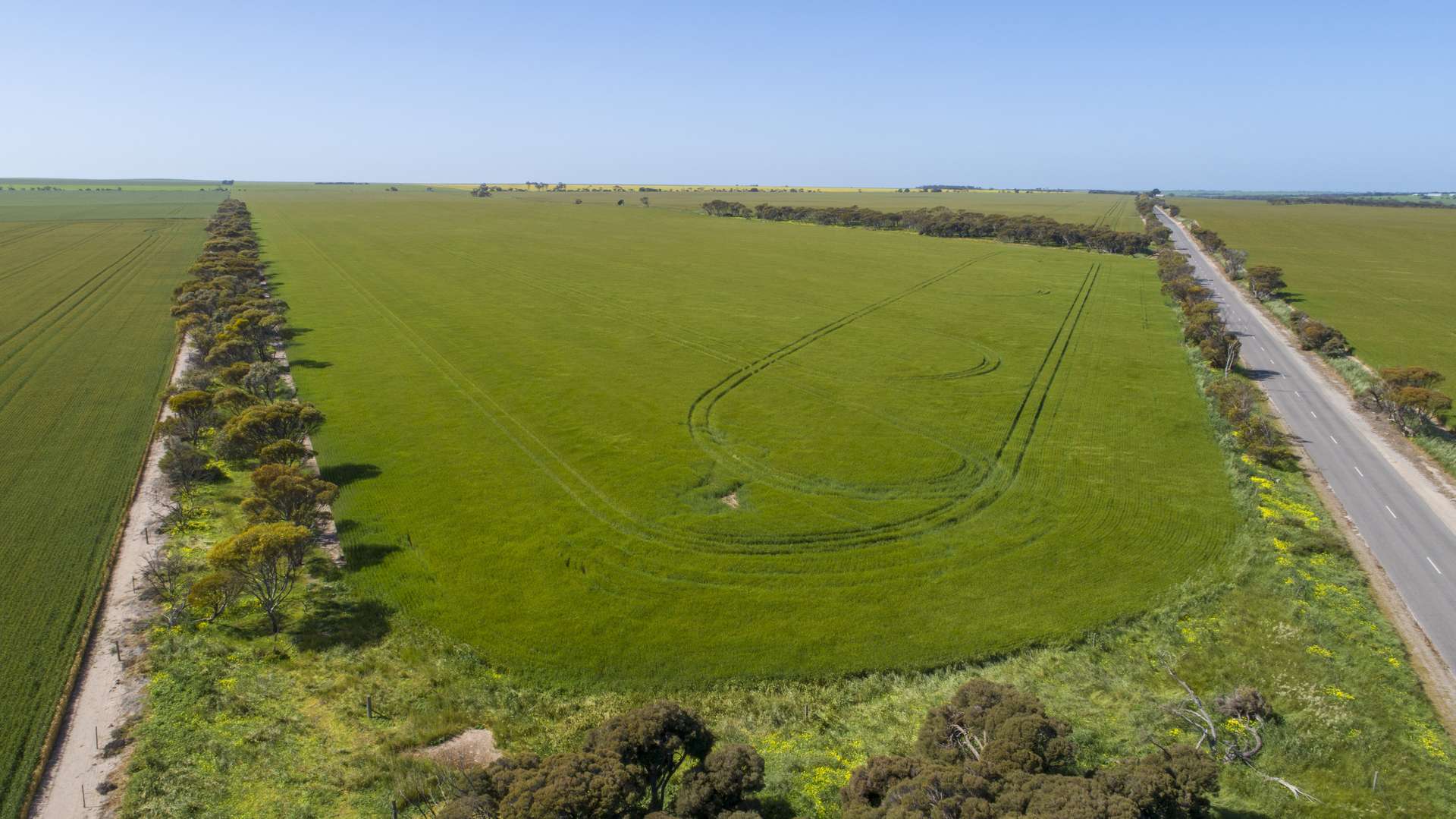 'Sims' Section 87N Rickaby Road, Minlaton For Sale by Farmbuy.com - image 6
