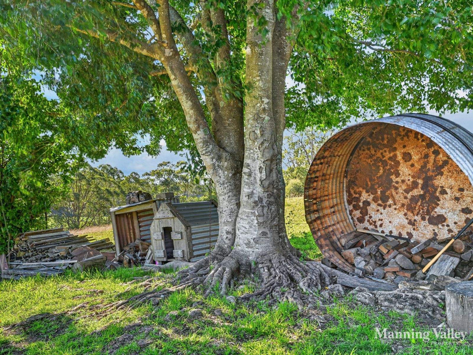 198 Bow Hill Road, Dollys Flat For Sale by Farmbuy.com - image 13