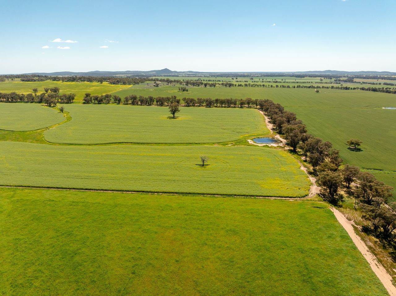439 Taylors Road, Gidgingbung Via, Temora For Sale by Farmbuy.com - image 22