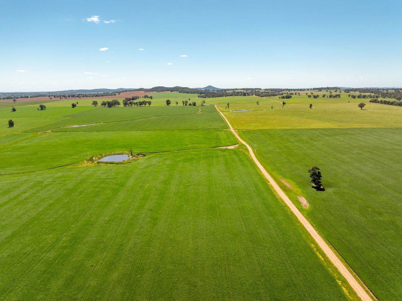 439 Taylors Road, Gidgingbung Via, Temora For Sale by Farmbuy.com - image 8