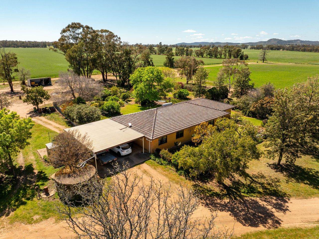 439 Taylors Road, Gidgingbung Via, Temora For Sale by Farmbuy.com - image 2