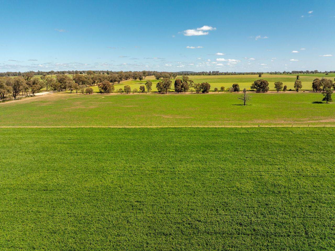 439 Taylors Road, Gidgingbung Via, Temora For Sale by Farmbuy.com - image 10