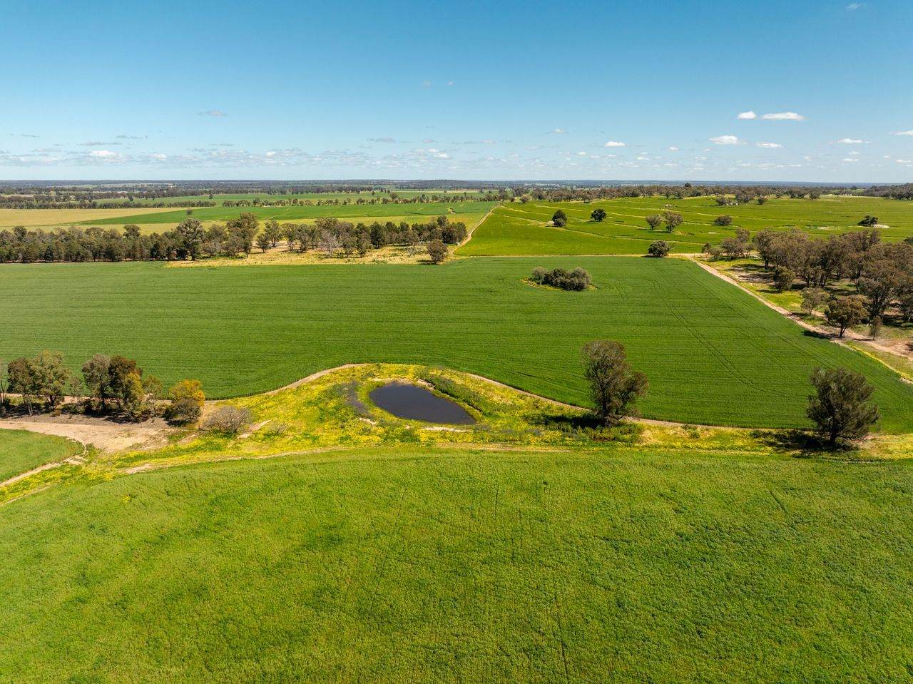 439 Taylors Road, Gidgingbung Via, Temora For Sale by Farmbuy.com - image 6