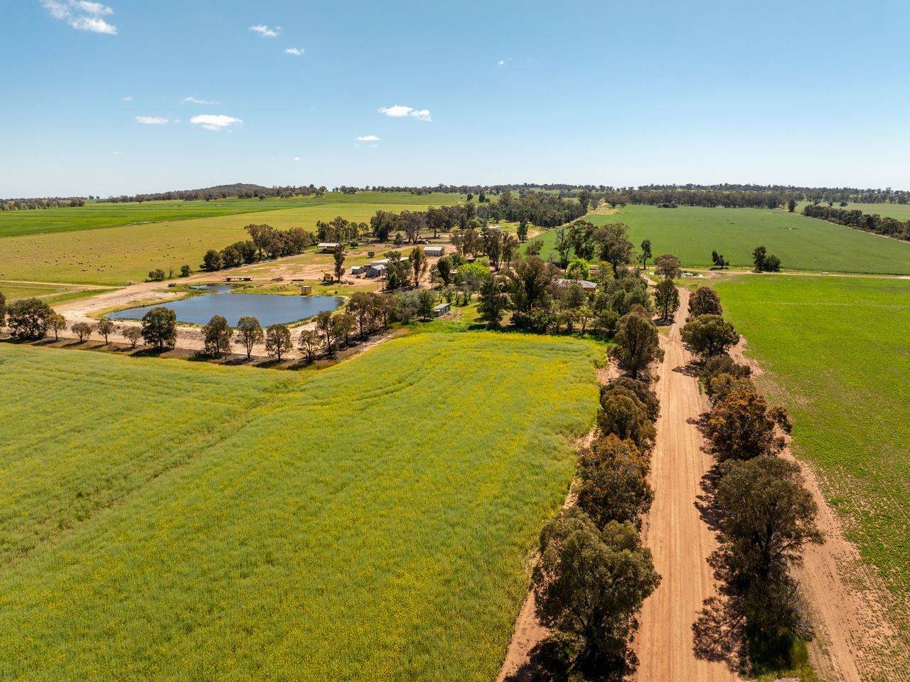 439 Taylors Road, Gidgingbung Via, Temora For Sale by Farmbuy.com - image 4