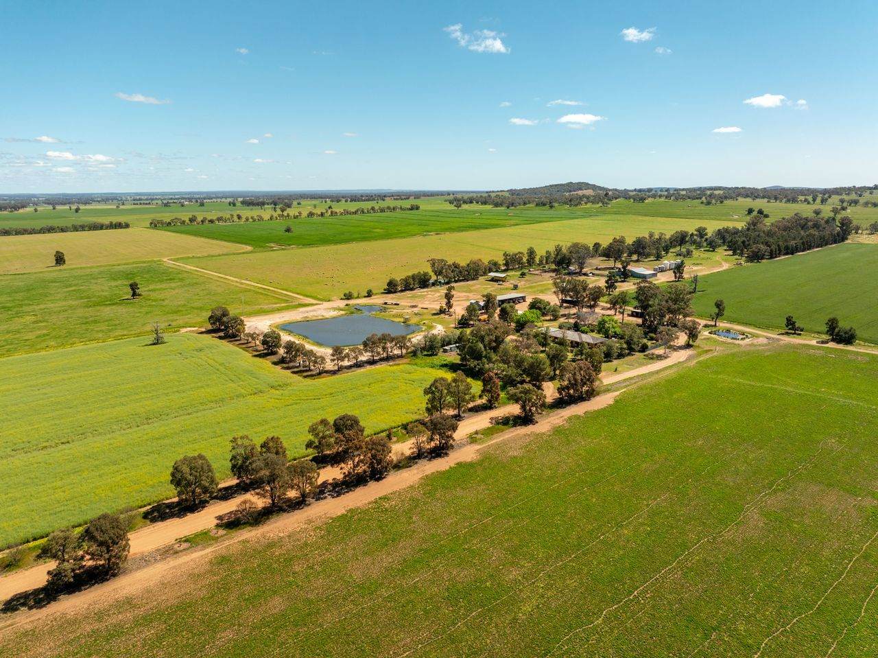 439 Taylors Road, Gidgingbung Via, Temora For Sale by Farmbuy.com - image 1