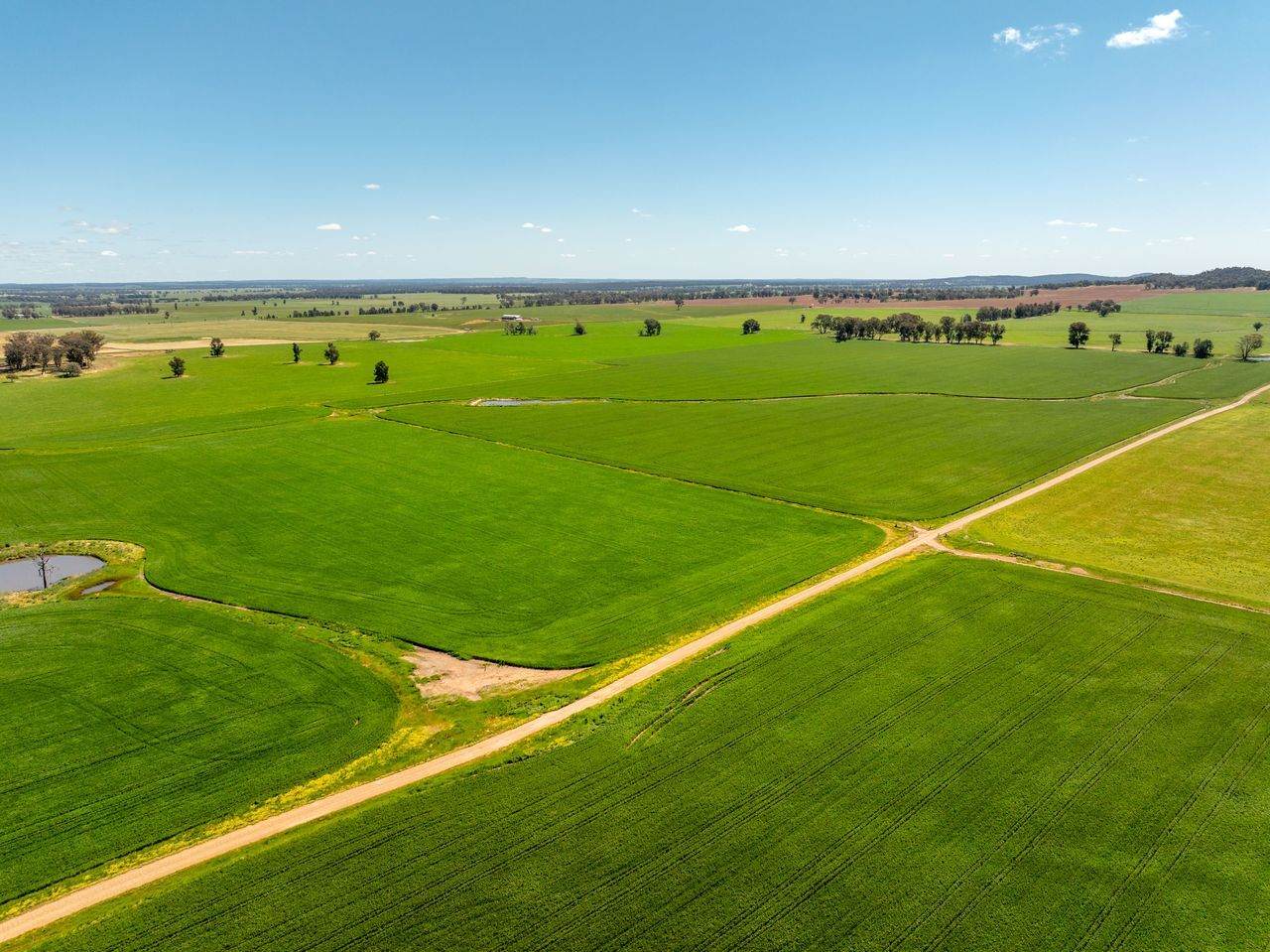 439 Taylors Road, Gidgingbung Via, Temora For Sale by Farmbuy.com - image 16