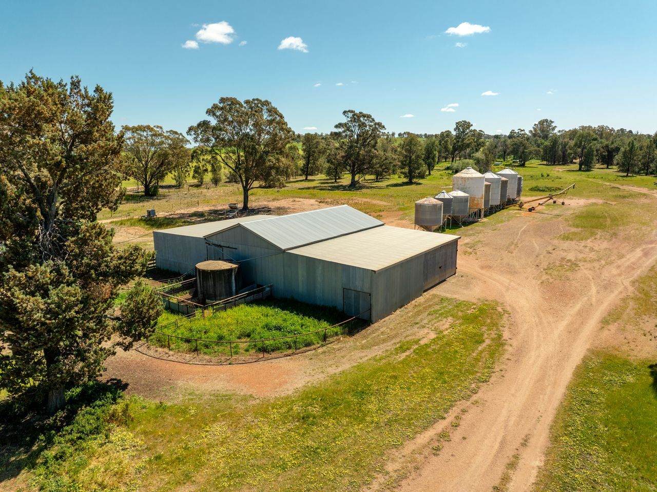 439 Taylors Road, Gidgingbung Via, Temora For Sale by Farmbuy.com - image 28