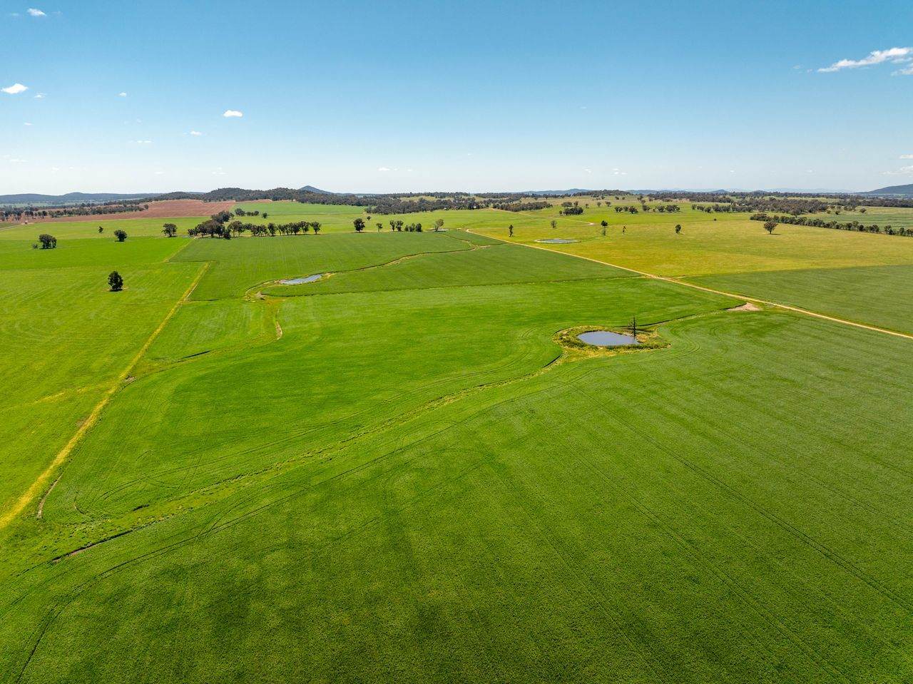 439 Taylors Road, Gidgingbung Via, Temora For Sale by Farmbuy.com - image 21