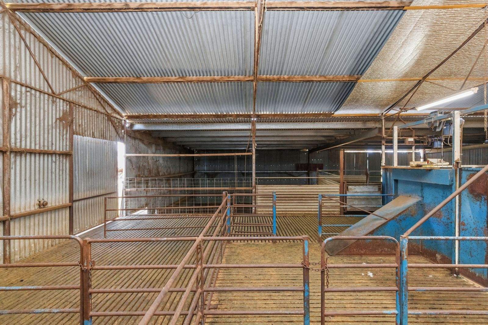 439 Taylors Road, Gidgingbung Via, Temora For Sale by Farmbuy.com - image 27