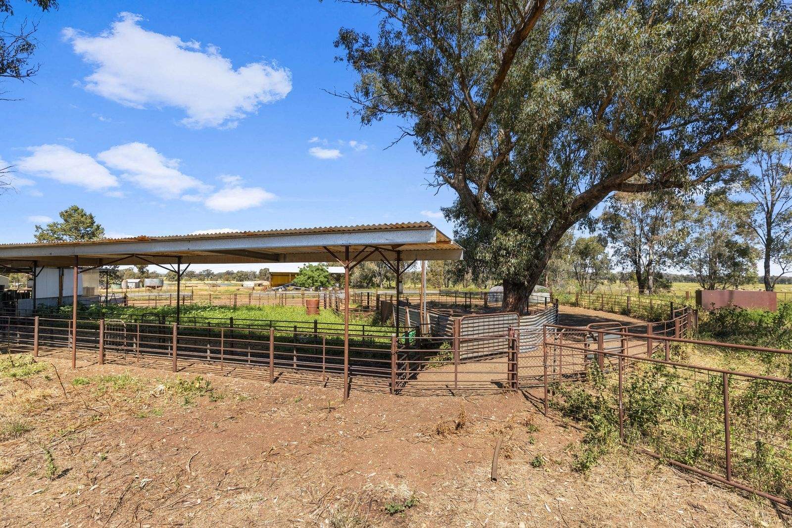 439 Taylors Road, Gidgingbung Via, Temora For Sale by Farmbuy.com - image 30