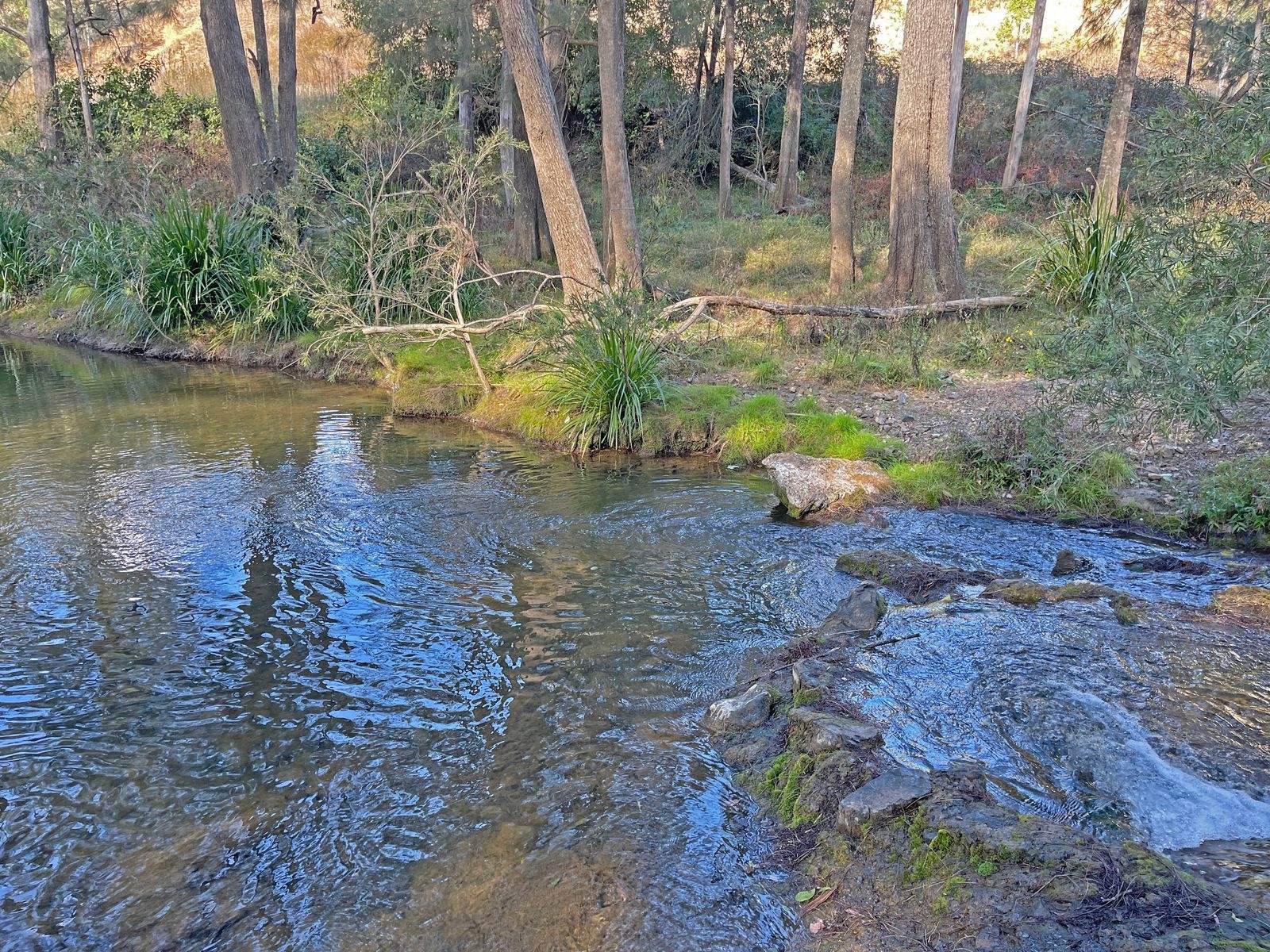 1507 Bakers Creek Road, Bundook For Sale by Farmbuy.com - image 27