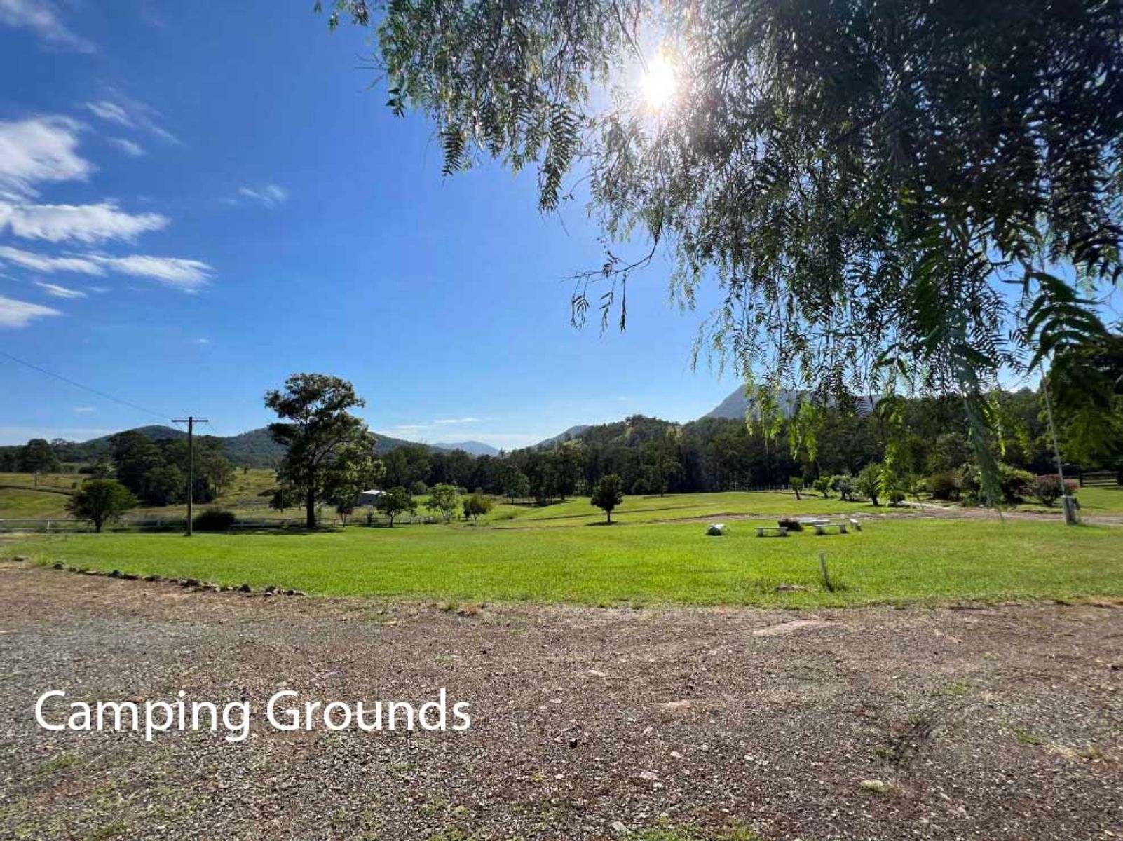 1507 Bakers Creek Road, Bundook For Sale by Farmbuy.com - image 18